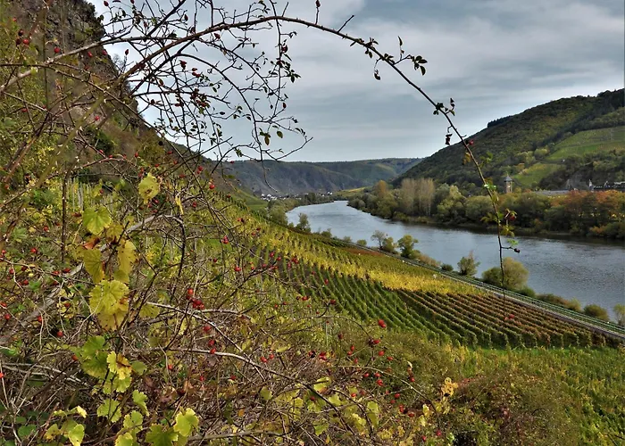 Apartamento Meyver *