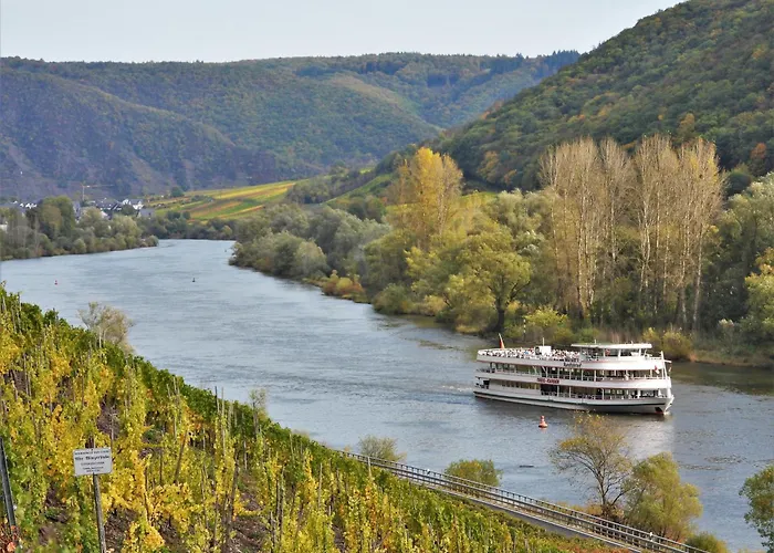 Apartamento Meyver *